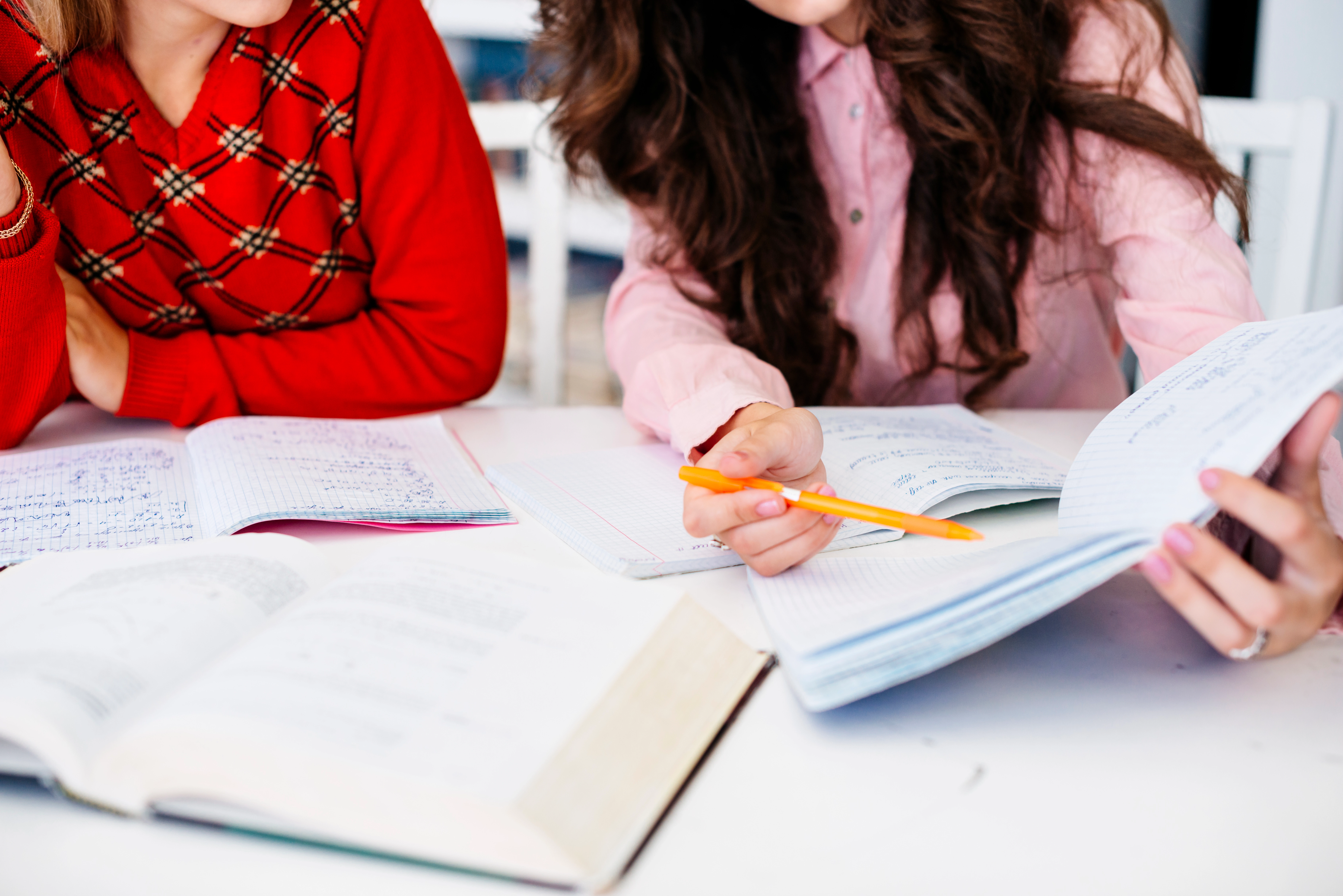 AYT (Alan Yeterlilik Testleri) Nedir?